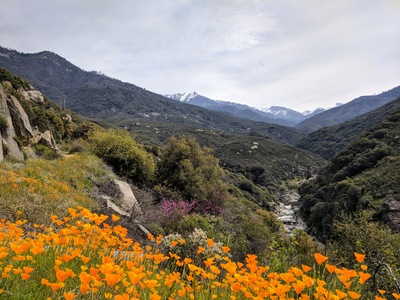 Sequoia National Park in April 2018